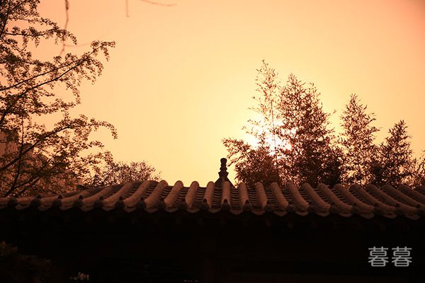 1Ůn�� ������ͦ�� ��Ӳ���������ö�ˮp