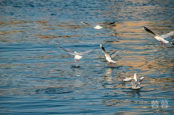 你觉得家里有鬼吗？大胆的人可以用这几个方法试试