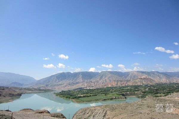 中国八三年蛇灾是怎么回事，和大洪水有关