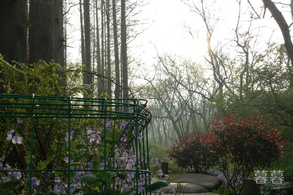 ������Ů���кøл���ֳ�����ϸ���Ѿ�˵����һ��