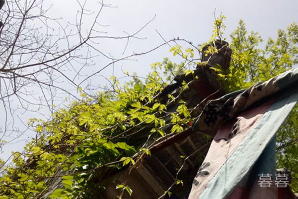 ����Ҳ���Ժܸж�����Щ�����ʺϷ���ʱ˵