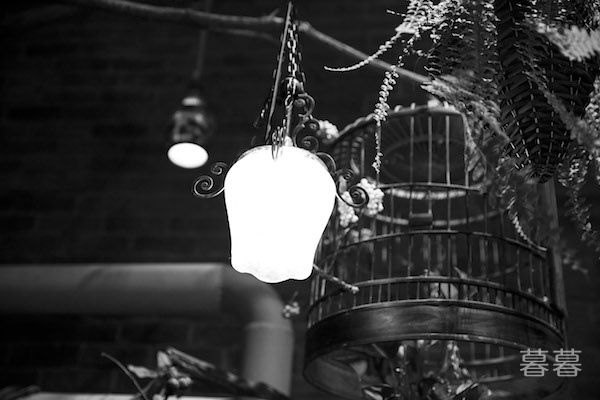 人类不属于地球的证据 网友脑洞太大