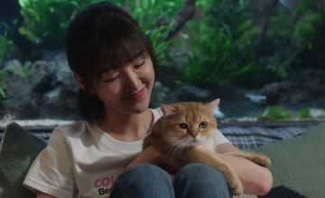 三十而已皮卡丘的品种是什么它的价格很昂贵 暮暮